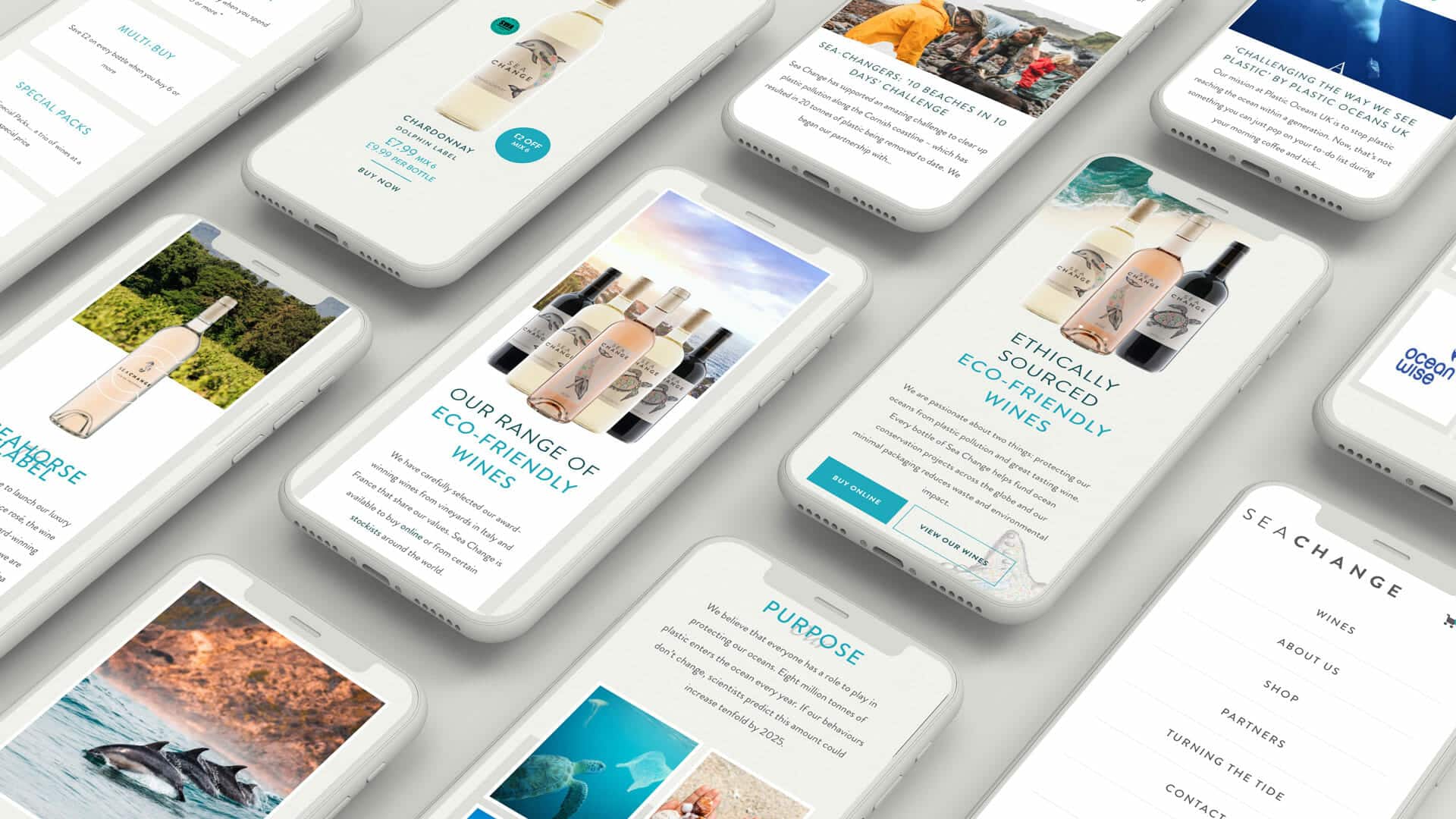 mobile responsive website redesign for FMCG